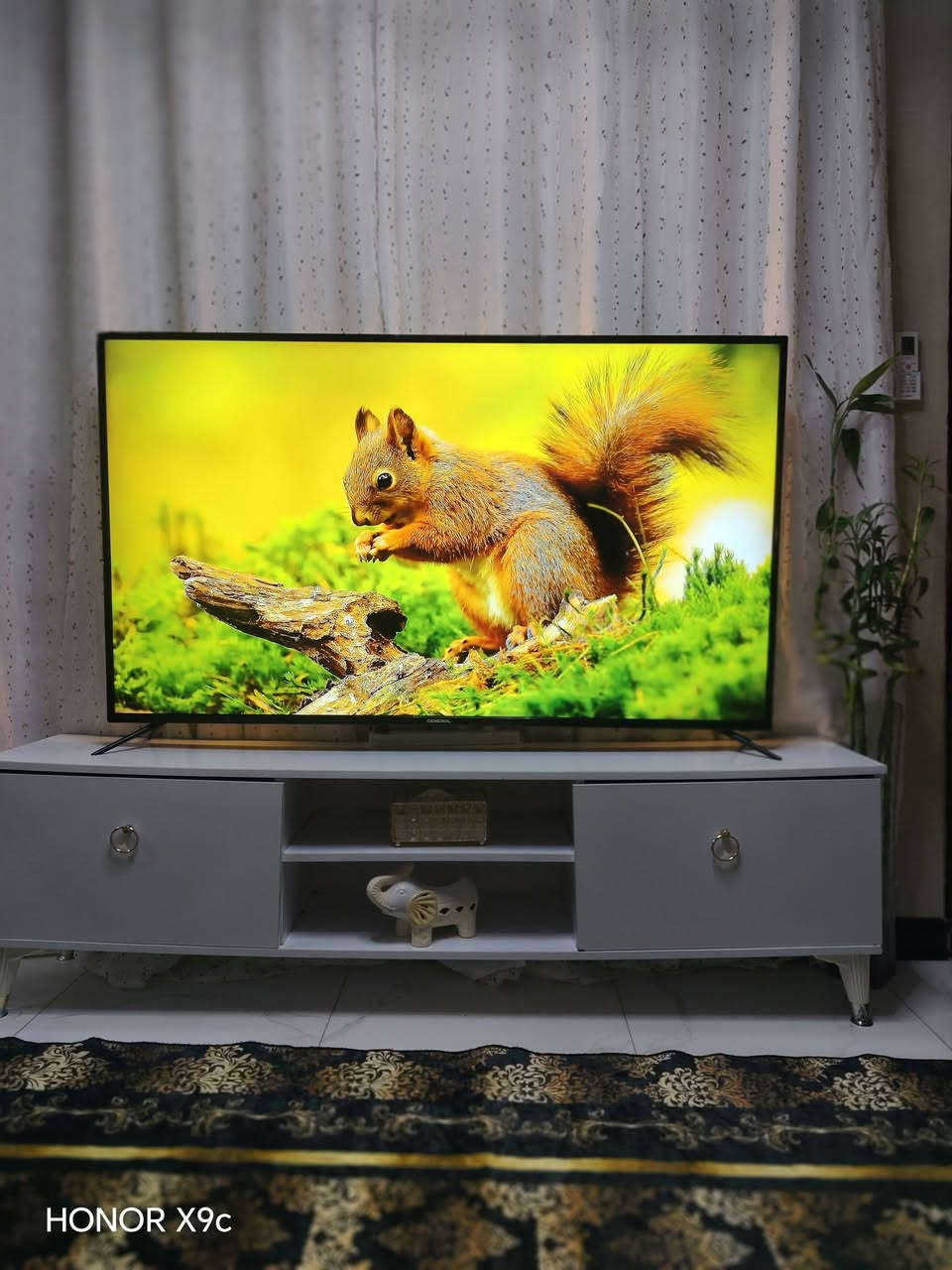 للبيع قياس ٦٥ سعره ٤٥٠


**إذا كنت صاحب هذا الإعلان وتريد حذفه لأي سبب، رجاءا أرسل رسالة إلى الدعم الفني**