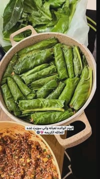 توصيل مشخاب • ابو صخير • الحيره