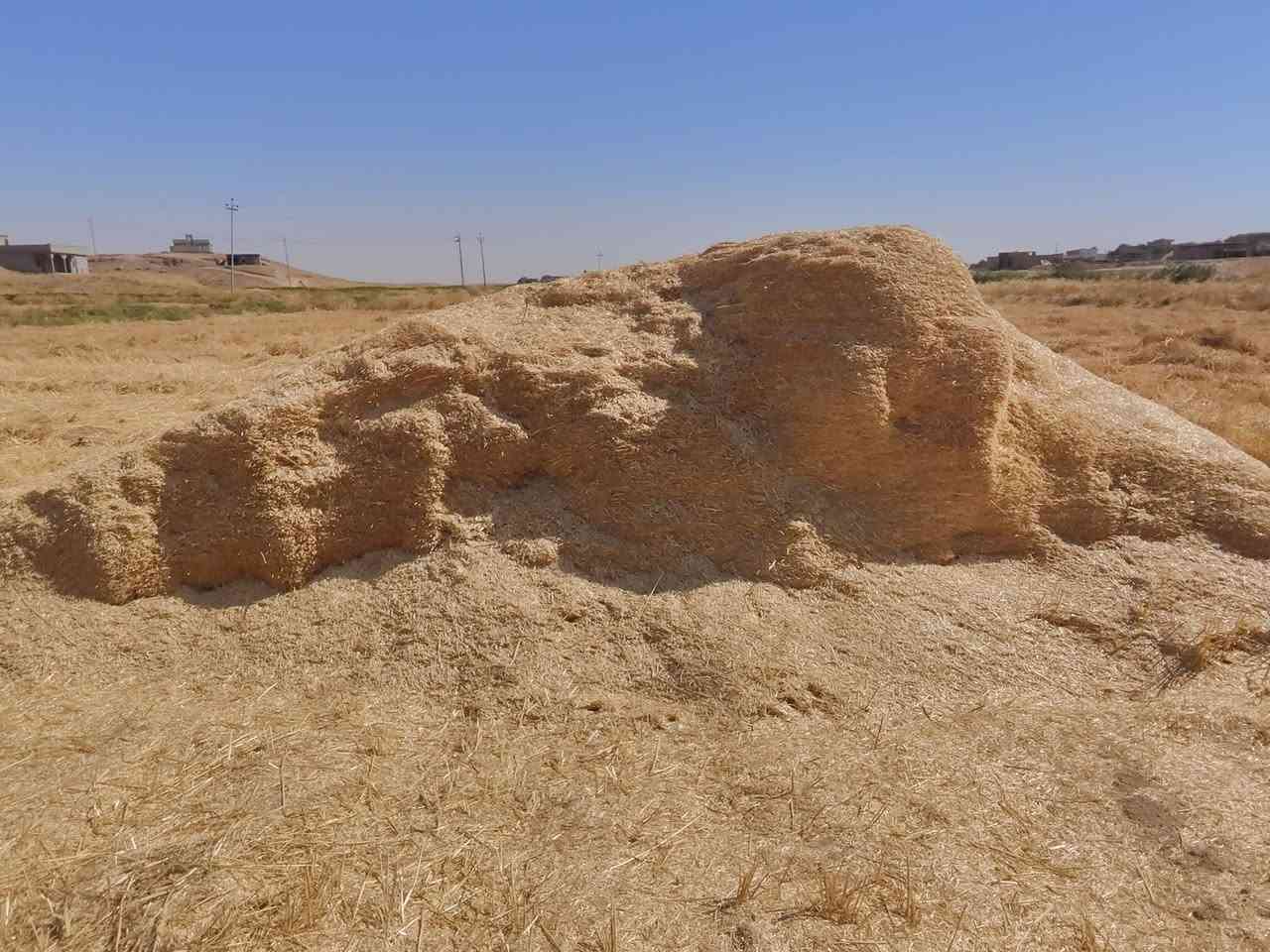 يوجد تبن گراضه للبيع


**إذا كنت صاحب هذا الإعلان وتريد حذفه لأي سبب، رجاءا أرسل رسالة إلى الدعم الفني**