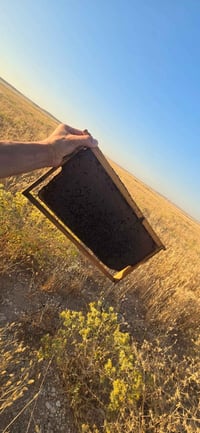 ​🍯 عسل طبيعي وأصلي 100%.. من قلب الطبيعة إلى بيتك! ⛰️ السلام عليكم ورح...