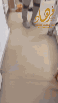 تغليف درج باركيه خشب 🪵 موقع العمل حي تونس أفاق عربية للتواصل ☎️0771440...