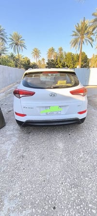 توسان • ٢٠١٦ • وارد امريكي