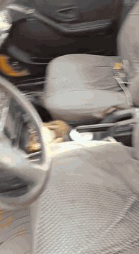 بيجو روا موديل 9 للبيع مكينه وكير يخبلن بدلادي شواصي بلاد سنويه صاقطه ب18 راعيها موجود ابيعك كوم حديد فقط تحويل الك يمي وسعرها مناسب 14ورقه وبيها مجال لشراي رجائن المو شراي لا يدخل ويضل يسولف تجي فلوسك عندك وحلالي عندي عجبك اهلا وسهلا ماعجبك عل عيني وراسي سياره حلوه وتخبل عوزها فقط تسويها بريك مابيها ويل خلفي تعبان فقط الاتصال ‏‪***********‬‏
