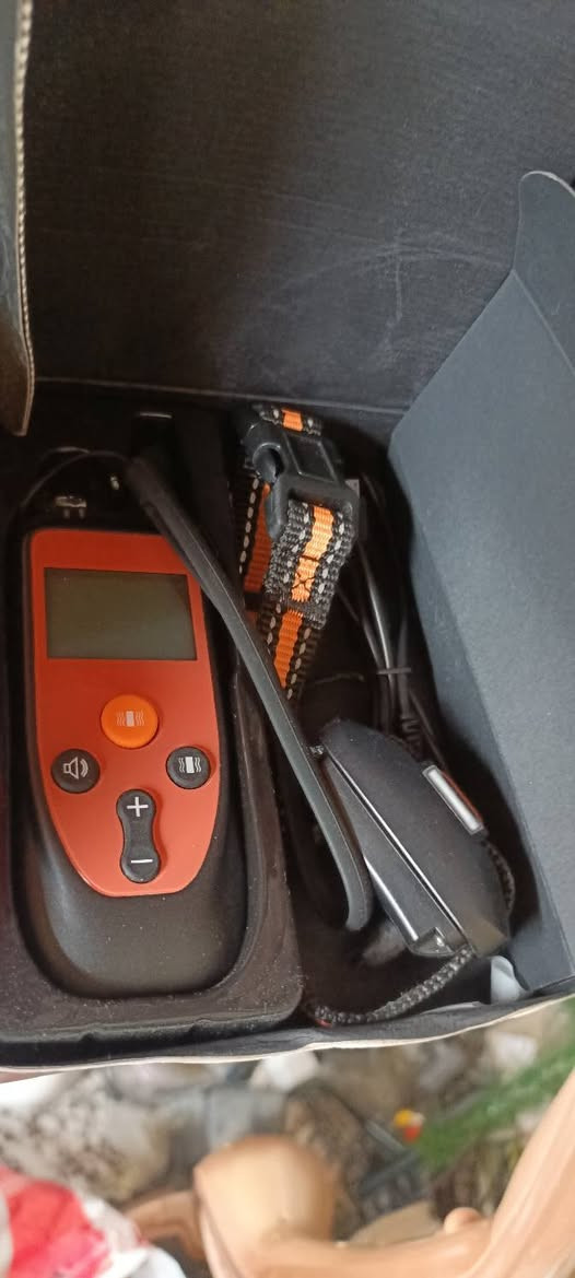 قطع تخص القطط تفاصيل داخل الفيديو..
البيع شلعه نطوني سعر.. يصيرن 2 كارتون دبل.


**إذا كنت صاحب هذا الإعلان وتريد حذفه لأي سبب، رجاءا أرسل رسالة إلى الدعم الفني**