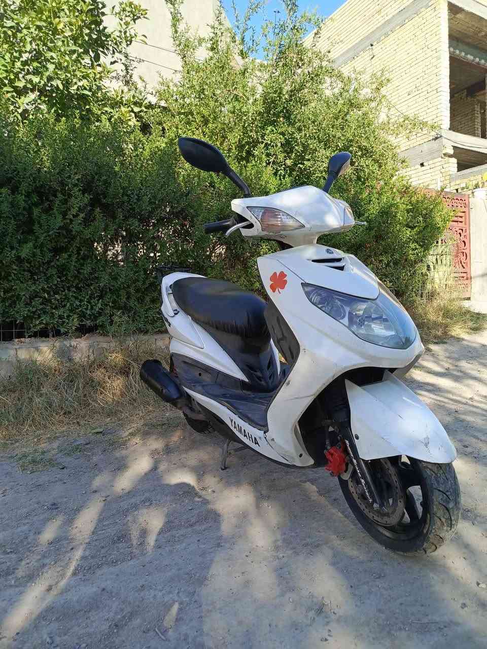 دراجة سكنس فحل 140 ياباني مكفولة كفالة عامة اي نقص ما بيها نكرة سلف بكل وقت محرك مكفول بلادي لا نضوح ولا تبخير شلعة ومعدل تخبل كفراتها بلادية كهربائيات كلها كاملة ماشية 22 الف قفل جنطة استيرن كلة كامل تايرات جدد سعرها 650 وبيها مجال مكاني الشعلة ***********
