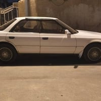 مارك گصيف مكفوله من الگص ونقل الجثه ومكفوله من الصبغ السعر ٥٠ وبيه مجا...