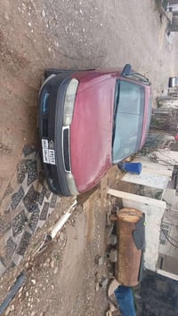 فاسولیا • ١٩٩٢ • أربيل