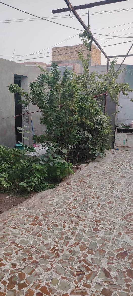 دار طابو زراعي للبيـــــــــــع
المساحة 150متر طابقين 
يحتوي على 
3غرف نوم وهول ومطبخ واستقبال ومجمع صحيات عدد 3
كراج وحديقة
العنوان حلة كراغول شارع زين العابدين
    عرض الشارع 10متر خدمات كاملـــــــــــــــة 
لتفاصيل اكثر 
***********
