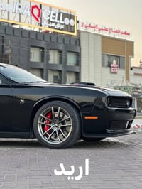 مراوس • للبيع • بغداد