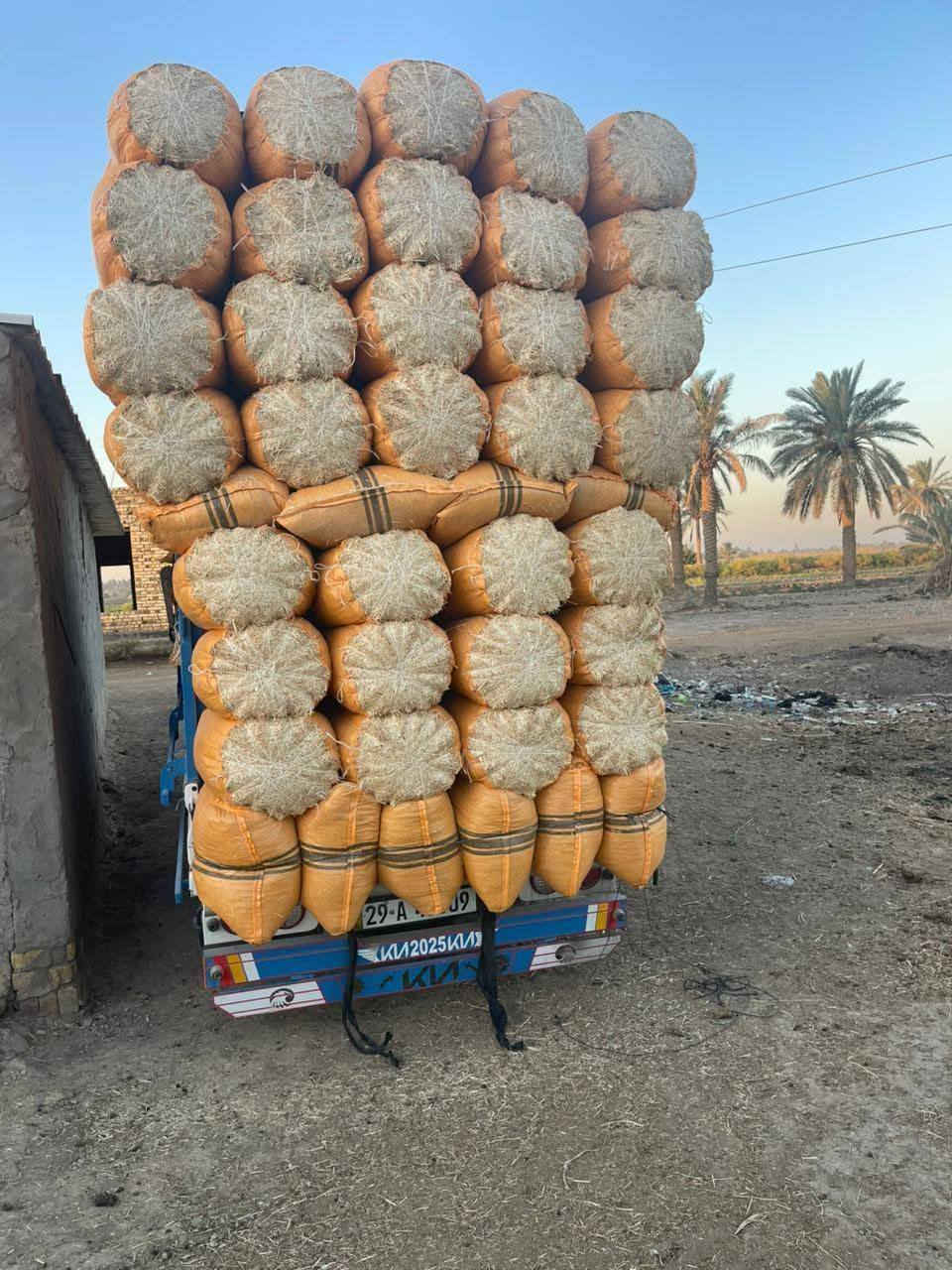 موجود تبن جميع الاحجام توصيل لباب البيت بسعار جوه السوك *********** اترخص من صاحب الكروب ورزق على الله
