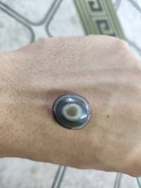 سعر • اكتب سعر • استفسار