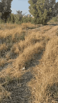 سلام عليكم ورحمه الله وبركاته يوجد لدينا دونم للبيع 
طابو سند 25 باسمي مقابيل حي كريم الواجهه 34 والنزال 70 للاستفسار ***********
