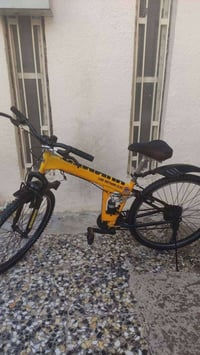 ياباني اصلي • دبل امامي خلفي • حي الحر