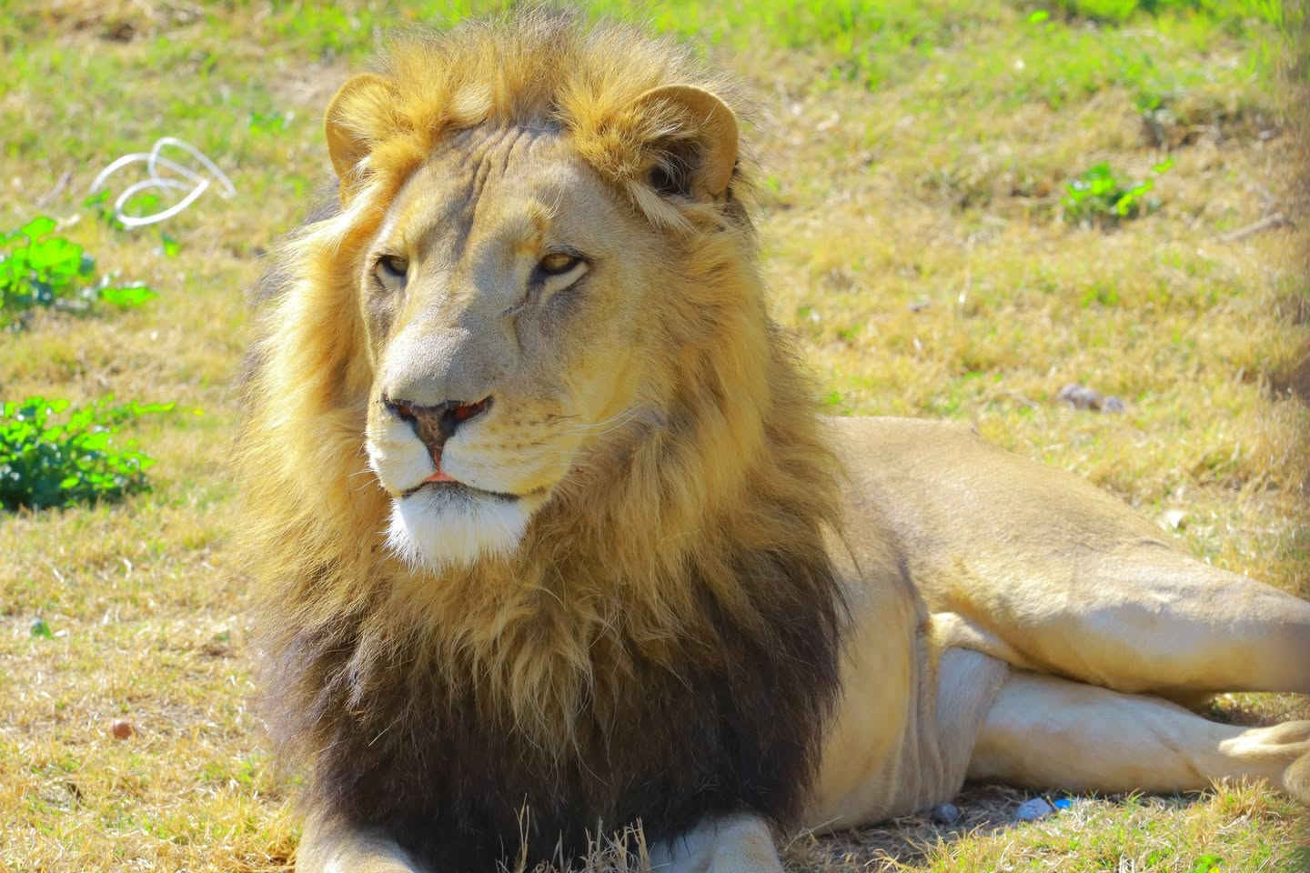 بمناسبة شهر رمضان المبارك متنزه الزوراء يفتتح ابوابه يوميا وعلى مدار الاسبوع من الساعه الــ9 ىصباحا ولغاية ساعات متأخرة من الليل ..
اهلا وسهلا بكم .


**إذا كنت صاحب هذا الإعلان وتريد حذفه لأي سبب، رجاءا أرسل رسالة إلى الدعم الفني**