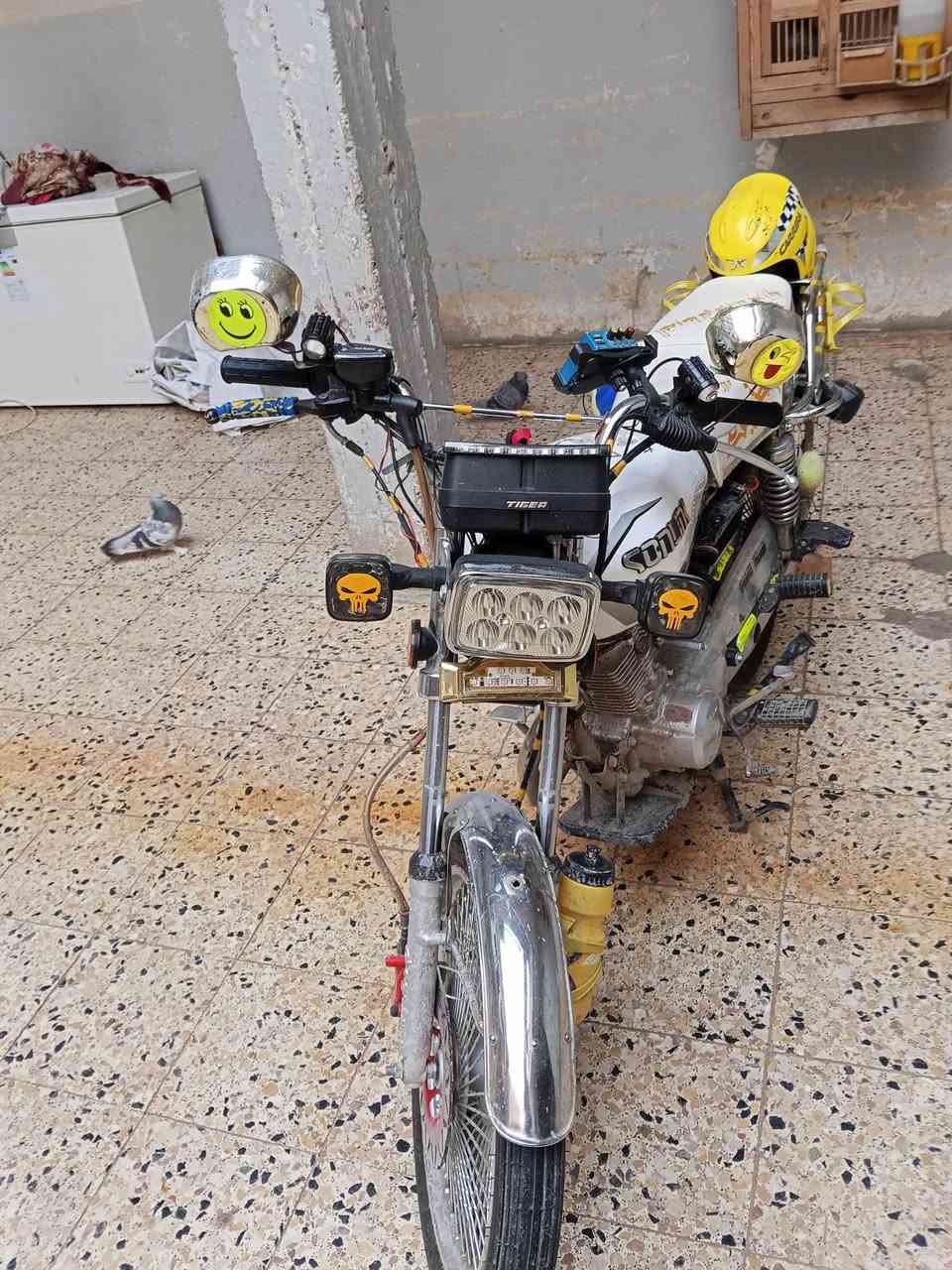 متاح موصل ايمن كلوه شغال منفيس دبل اسويج  بس ويل 1اعوج وبريك كدام دراجه نظيفه حيل 4كير سعر 550
رقم الهاتف ***********
