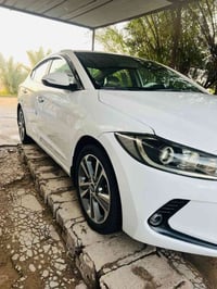 النترا ٢٠١٩ • خليجي فول • رقم اربيل