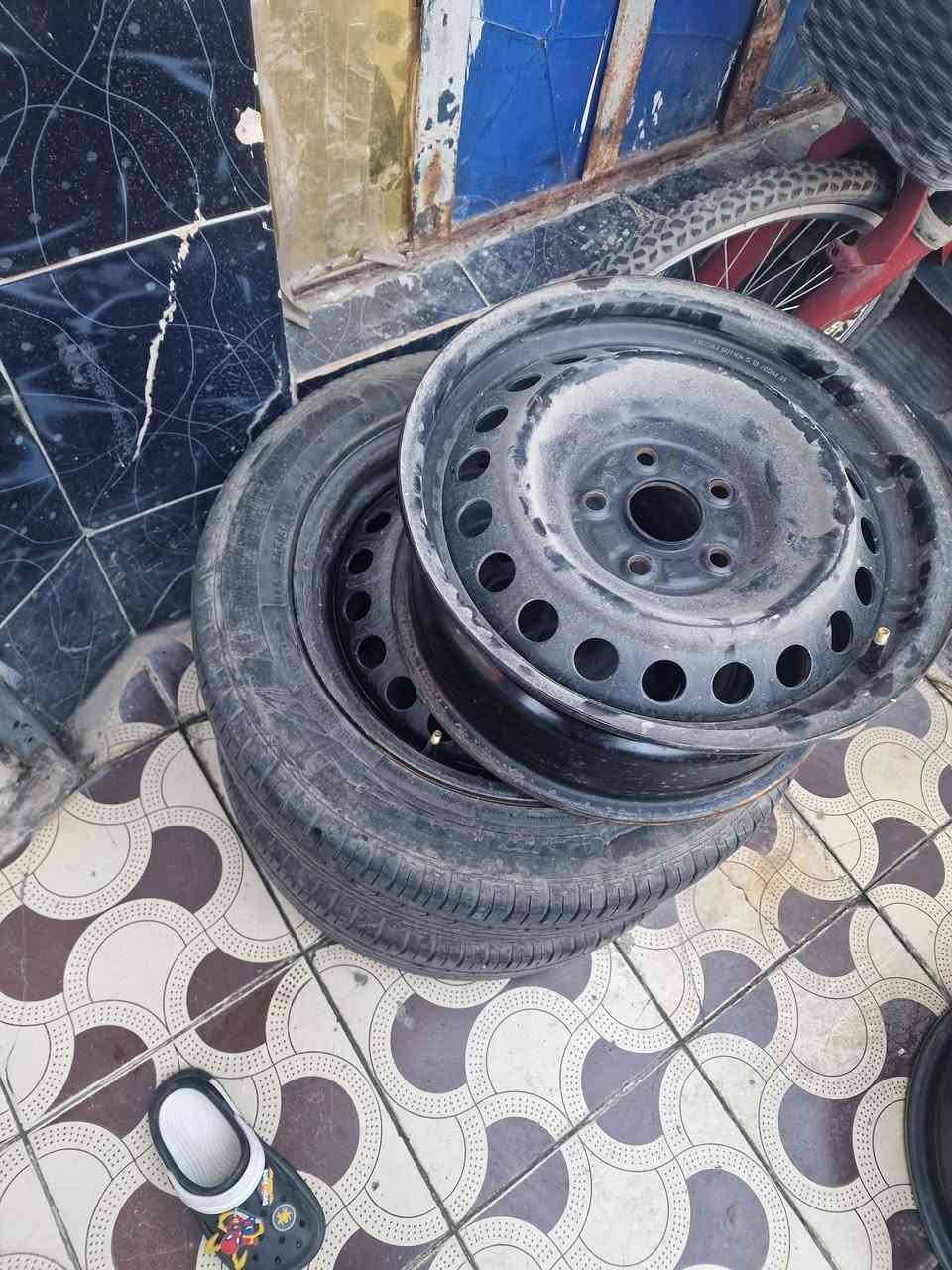 سلام عليكم تخم ويل اسود مال كورله اصلي نضافته ١٠٠ بل ١٠٠ وزوج تيرات نضيفت ١٠٠ بل ١٠٠ عنواني بغداد لدورة ***********
