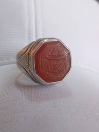 تحفة • توصيل • سعر خاص