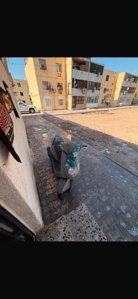سكنس فحل رياضي مكينه58 كلجات رياضي وباقي تزويد بكاني بغداد مدينه الصدر...
