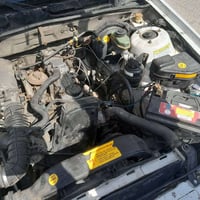 دايو فراشه • ١٩٩٦ • الديوانية