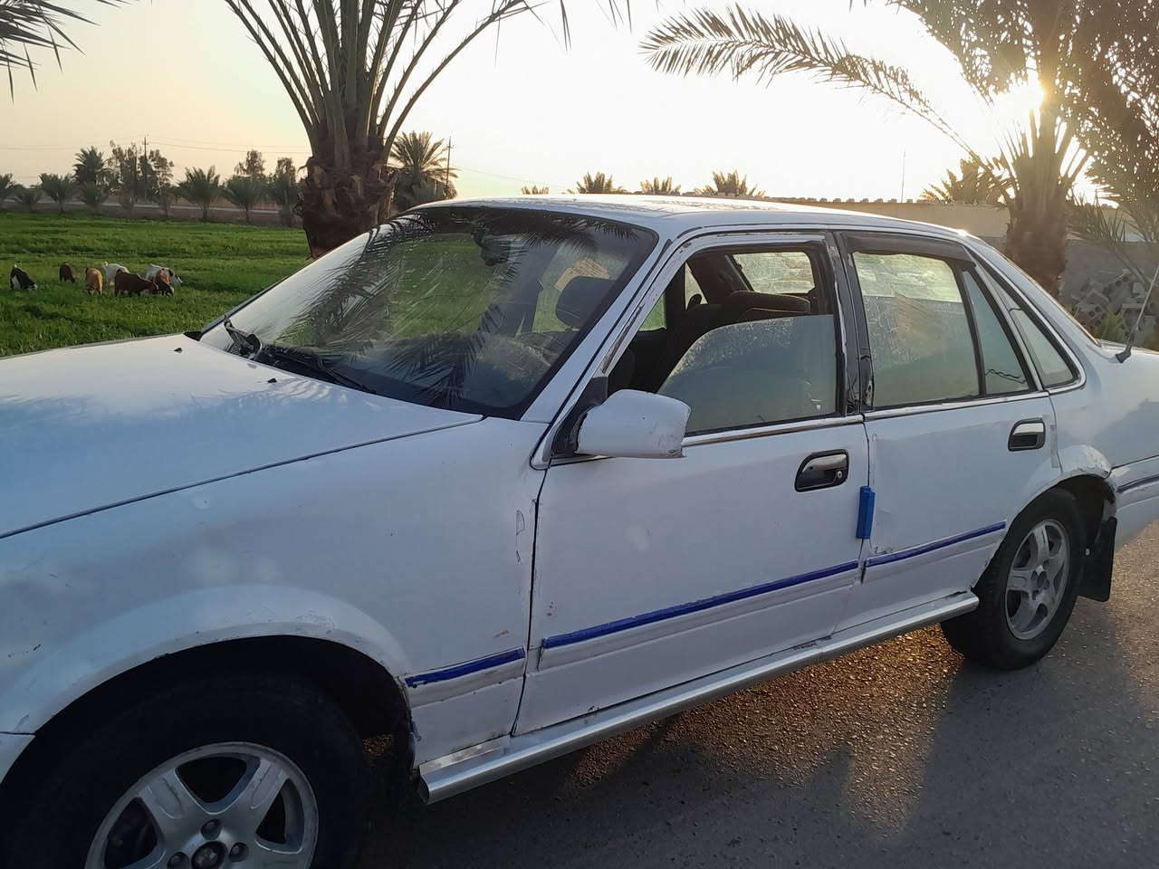 برنس فراشة نظيفة اوتوماتيك باسمي تحويل ثاني يوم أنبار للتواصل و واتساب ***********.
***********
سعر ٢٧ وبي مجال
