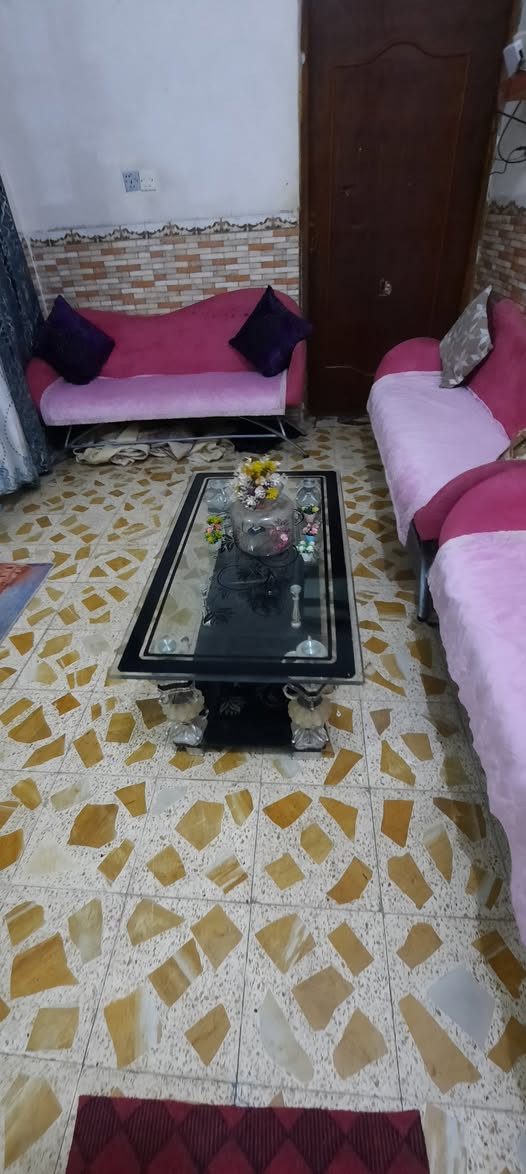 البيع تخم اصلي أوربي عنوان ميسان عماره اتصل واتساب موجود بالخدمة 《***********》 شراي يتصل عمارة, ميسان
