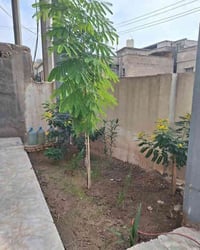 بريهة قرب ألوان • ١٦٠م • شقة مفصولة