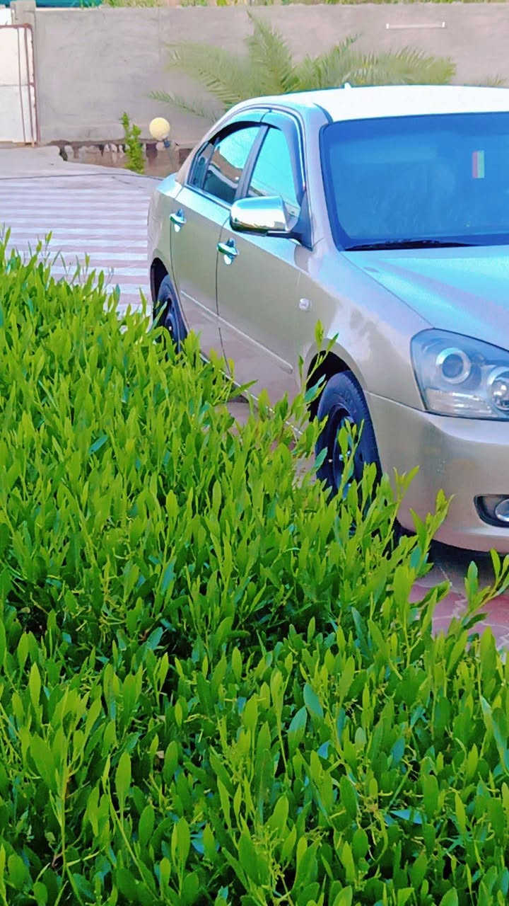 ياالله السلام عليكم شباب اوبتما موديل 2006 خليجي مكفوله بيهه ملاحضات بصيطه سياره جديده بمعنه الكلمه من تبريد من صدره من حداديه تجي وشوف بعينك سياره بيهه دور الجاملغ الخلفي رش فقط والجاملغ امامي من جهت السايق كد شبر كص اثر خياس فقط وبيهه جراد قليل بجنطه والباقي كفاله مكينه 2000 رقم بابل بسمي مداور ثاني يوم مكان السياره بلحله اتصل وان شاء الله ماقصر وياكم ***********
