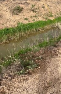 أرض • الزجاجية الزيتون • ٥٠٠٠م