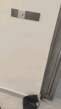 ابؤحسن الكهربائي
***********
