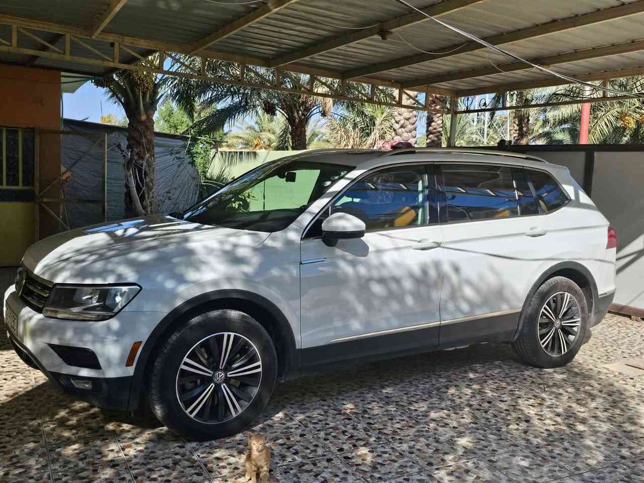 تيكوان 19 فل مواصفات محرك مفتوح ومصلح حادث باب سايق والخلفه ماشي 80 الف مايل  مكان بغداد رقم اربيل سياره كشر دواخل جدا نظيفه سعر سياره 170 ورقه


**إذا كنت صاحب هذا الإعلان وتريد حذفه لأي سبب، رجاءا أرسل رسالة إلى الدعم الفني**