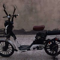 دراجة شحن • بدون بطاريات • الفلوجه