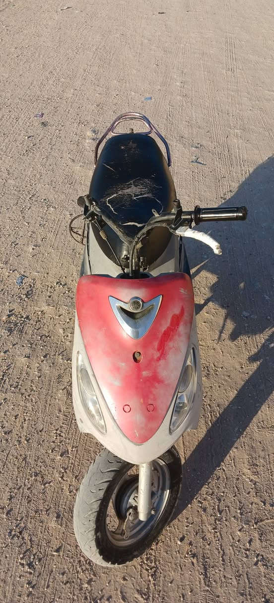 للبيع منغولي حربيه غراضها كامله 49بلاد مامفتوحه كفراتها جارده كلش السعر 450 للاستفسار ***********او خاص
