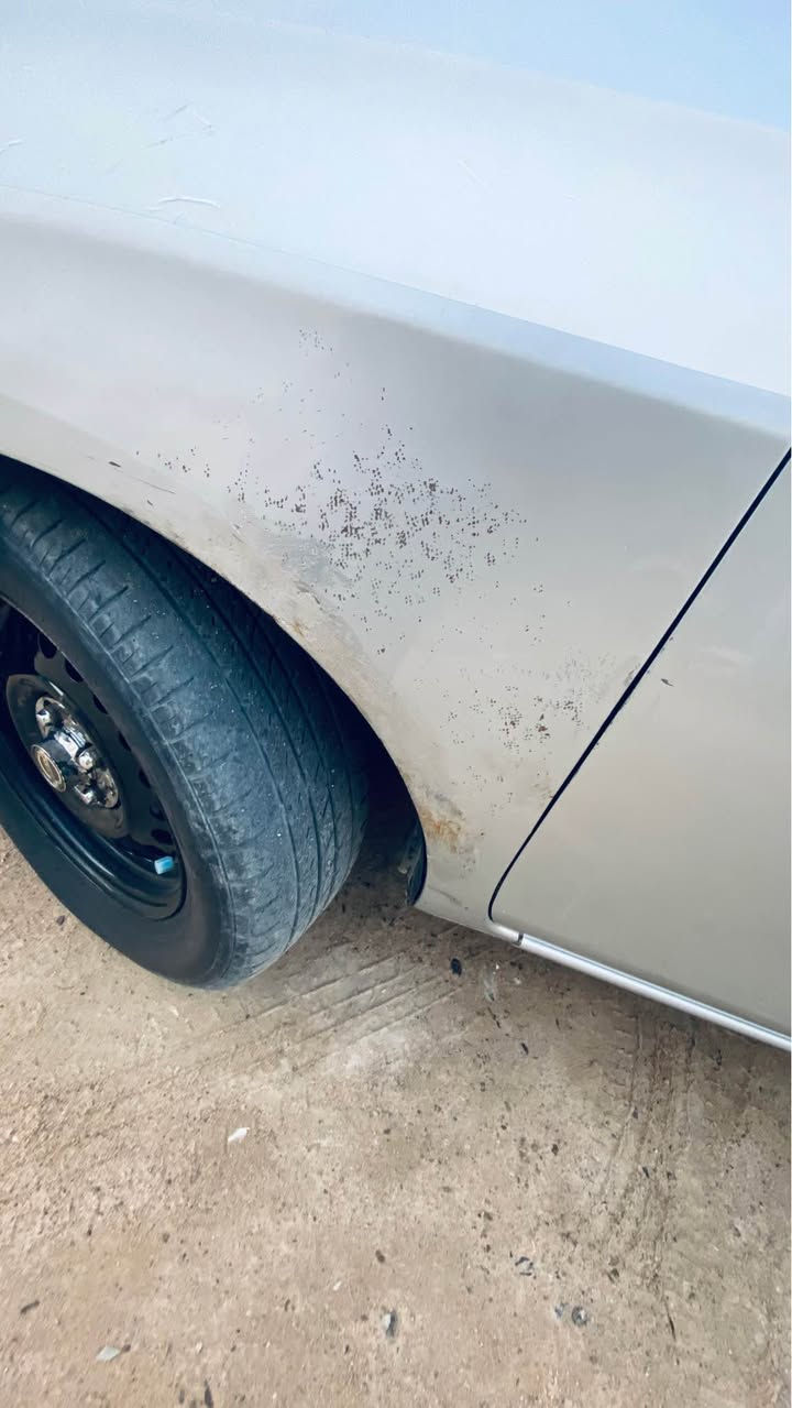 نيسان فيرسا ٢٠١٦ محرك ١.٨ كير cvt سيارة كلها بحالة ممتازة وشغالة مال جناي حادث جاملغ وبنيد من امريكا حرة مشروع وطني باسمي السعر 78 ومجالها بسيط البصرة تنومة *********** البصرة, العراق
