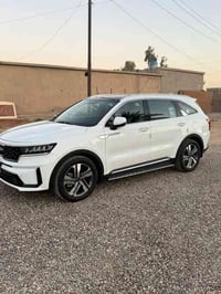 فول الفول • ٧ راكب • ١٨٠٠٠ كم