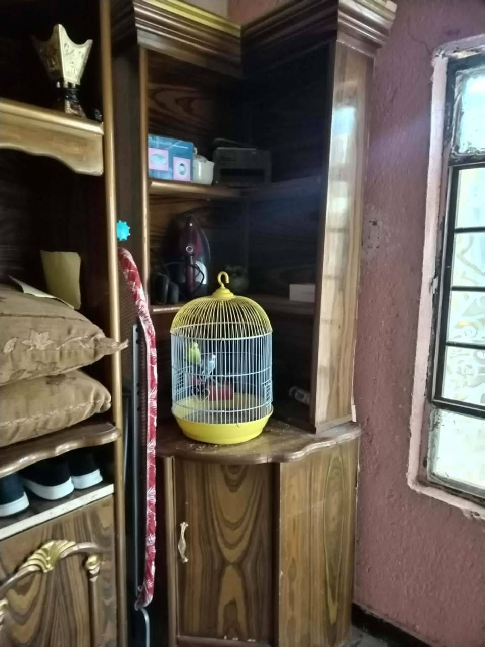 سلام عليكم عندي غرفه 6قطع نظيفه للبيع 

سعره مليون و100

العنوان الناصريه مركز زدناويه


**إذا كنت صاحب هذا الإعلان وتريد حذفه لأي سبب، رجاءا أرسل رسالة إلى الدعم الفني**