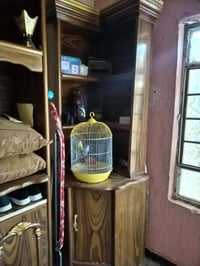 غرفة ٦ قطع • نظيفة • الناصرية زدناويه