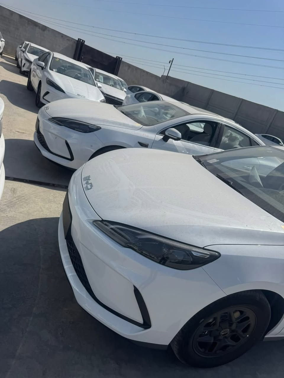 اختار المصدر الموثوق لاقتناء سيارتك

على بركة الله وصول وجبات جديدة

الى صالة عرض شركة يونس العتابي

بتاريخ  10/2/2026

واكيد بالاسعار التنافسية

الدستروير الابيض والرصاصي

السيل 5 نصف موصفات 

كن بلاص الابيض داخل ابيض 

سونگ لارج

***********
***********
***********

شكراً لاختياركم شركة يونس العتابي ❤️🩷❤️🩷
