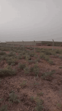 على بركة الله أرض زراعيه للبيع بين مدخل ٢و٣ 
مساحه ٢١٠٠ طابو سند ٢٥ زراعي
***********
