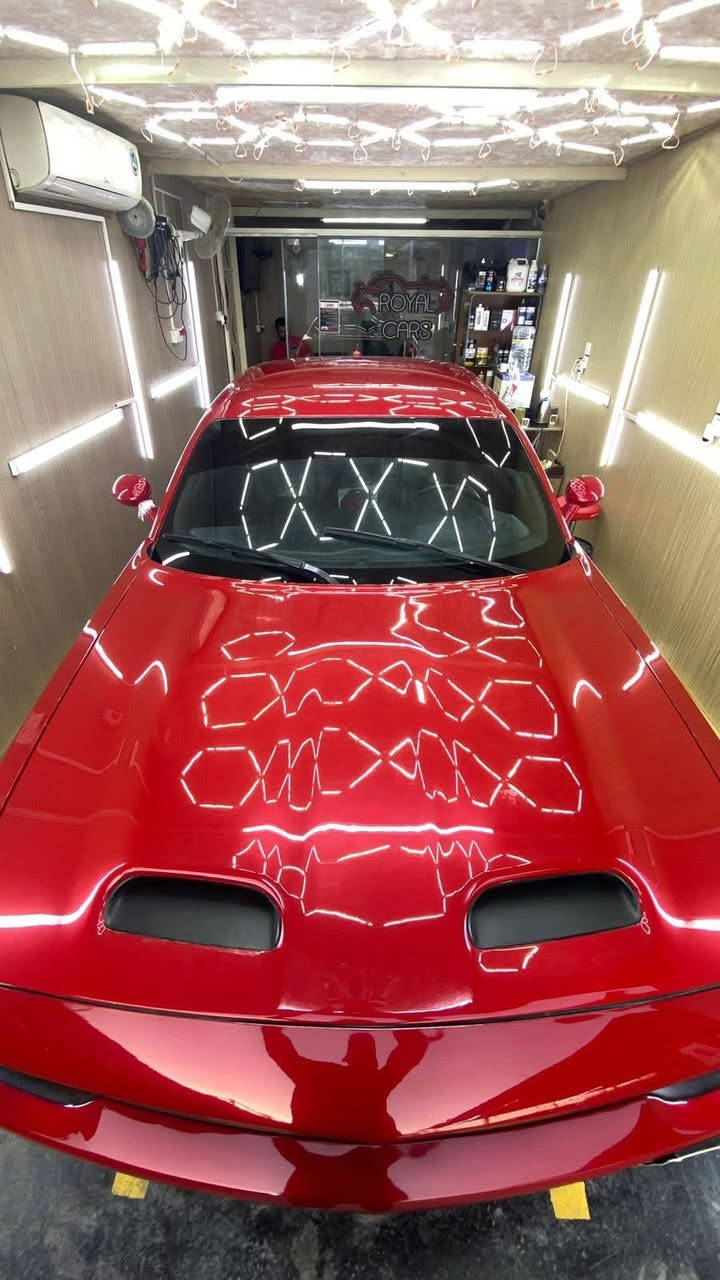 جالنجر 2016 v6 فول عدا الفتحه
ماشيه 87 mi
كشن تدفئه وتبريد
هيتر ستيرن
ستيرن كهرباء
هيتر مري
كشن كهرباء
سستم صوت الباين
شاشه جبيره
دگمه سبورت
مرايه كهرباء
تاير تو سايز
ويل ٢٠ اصلي نجمه
شفقه خلفيه
سبايدر
دعاميه اس ار تي
بنيد ريد اي
تبريد قطعتين
صدر جديد - تايرات جديدة - فريز + تدفئة جديدة مابيها اي نقص
مسويلها ادامه كامله
السياره لا برمجه ولا شي ستوك من الشركه ولا داخله تفحيط ولا متعوبه نظيفه ومعتني بيها
رقم بغداد مشروع وطني السياره بأسمي
مابيها صبغ بس البنيد والدعاميه
السعر 15500$ 
مكاني بغداد حي الخضراء او حي حطين
***********
