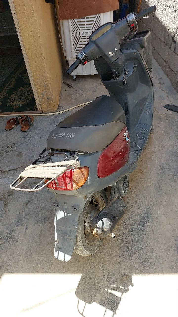 منغولي للبيع 200 هذا رقمي ***********
