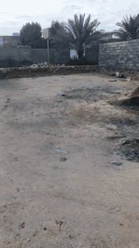 طابو زراعي • ابصخير حي رمضان • ١٥٠م