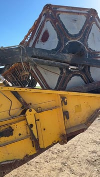 حاصوده • ٢٠٠٦ • كركوك