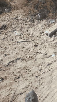 الخماس • دونم • سند كامل