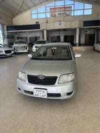 بيكاجو • ٢٠٠٧ • صبغ