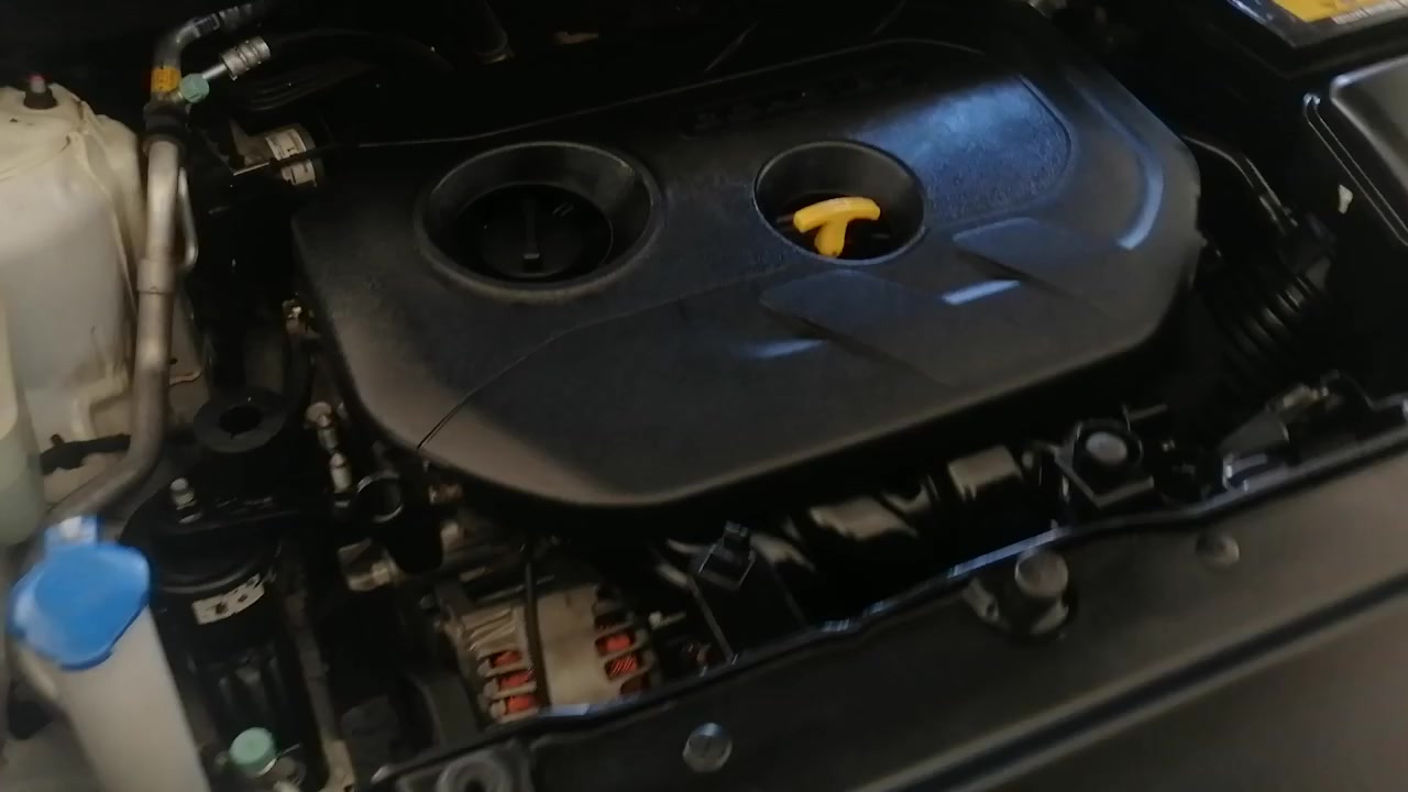 اسطه عامر بخدمتكم *********** مروه الخفاجي لتعليم قيادة السيارات زينه الحياني المدربة_ هبة حمادة_ لتعليم السياقة في الموصل ابتسام الطائي ام عمر سوق الرمادي المفتوح G.G كابتن مروه علاء - C.Marwa Alaa كابتن نبع الصافي لتعليم قيادة السيارات سوق الرمادي المفتوح قطع اراضي+دور
