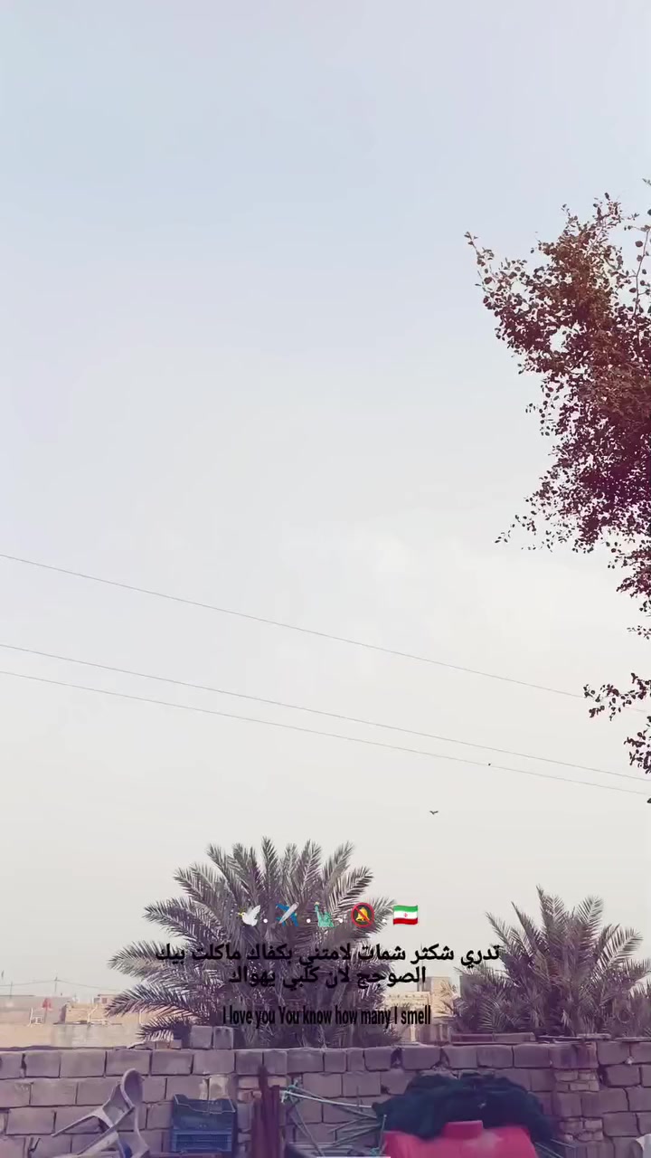 دراجه للبيع تعميره 25 شاصي 14 أرشه مكينه سيجي نامه ***********
