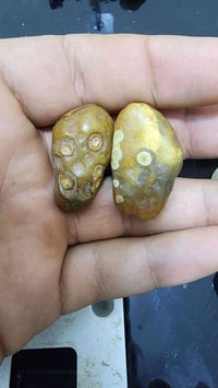 سعر • بالخاص • استفسار