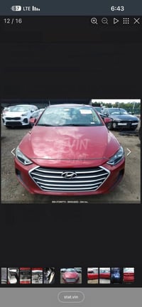 النترا • ٢٠١٧ • أربيل دولي