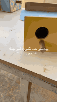 سلام عليكم متاح بيوت جميع أنواع الطيور مكان جمله ومفرد. مكان بغداد جسر ديالى *********** متوفر توصيل جميع الحافضات
